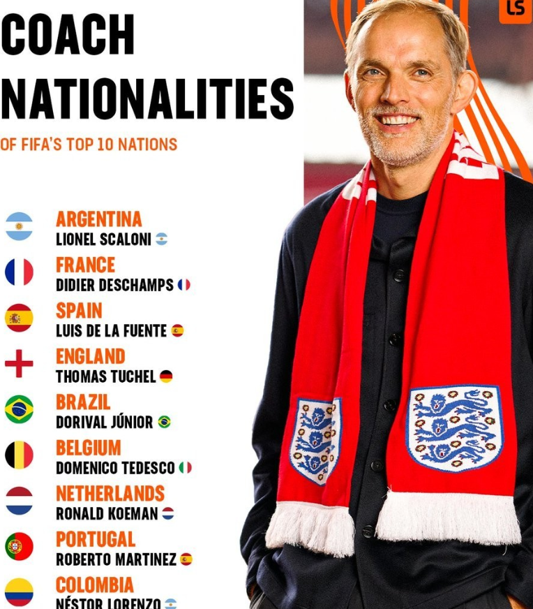 他们近年来 他们近年来