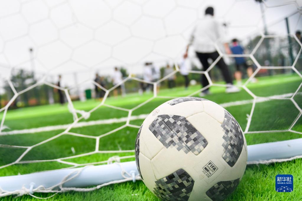 将球送入网 将球送入网