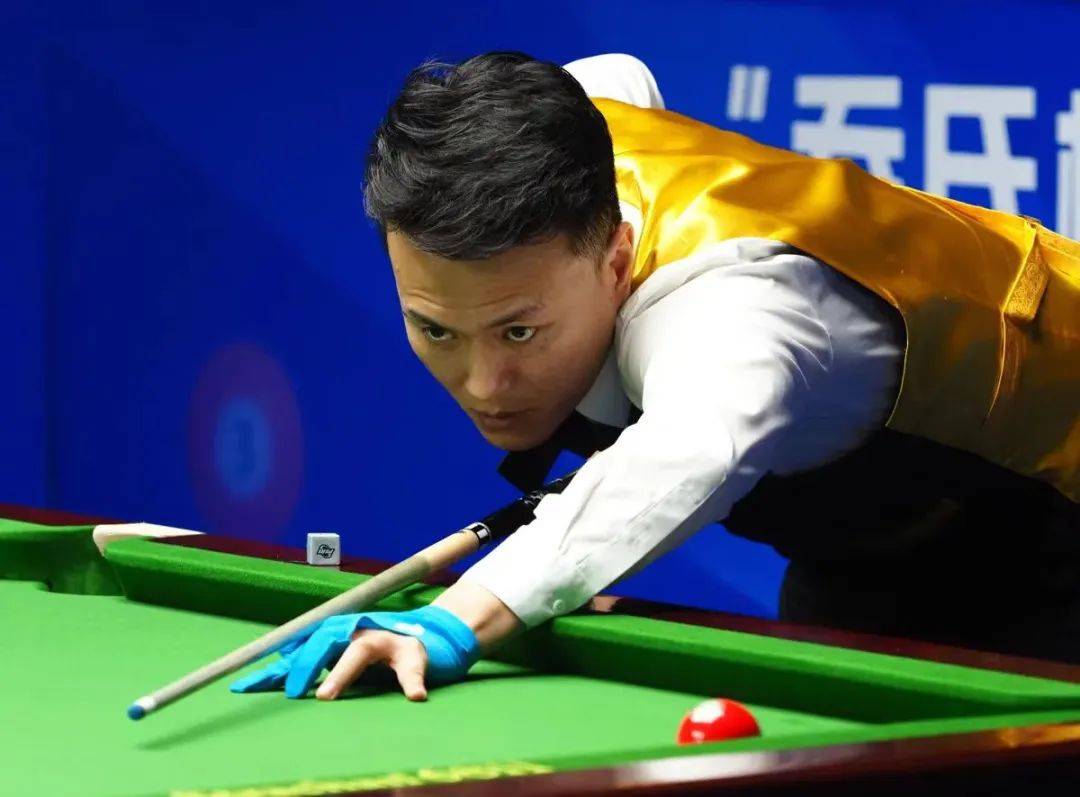 贡献了31 贡献了31